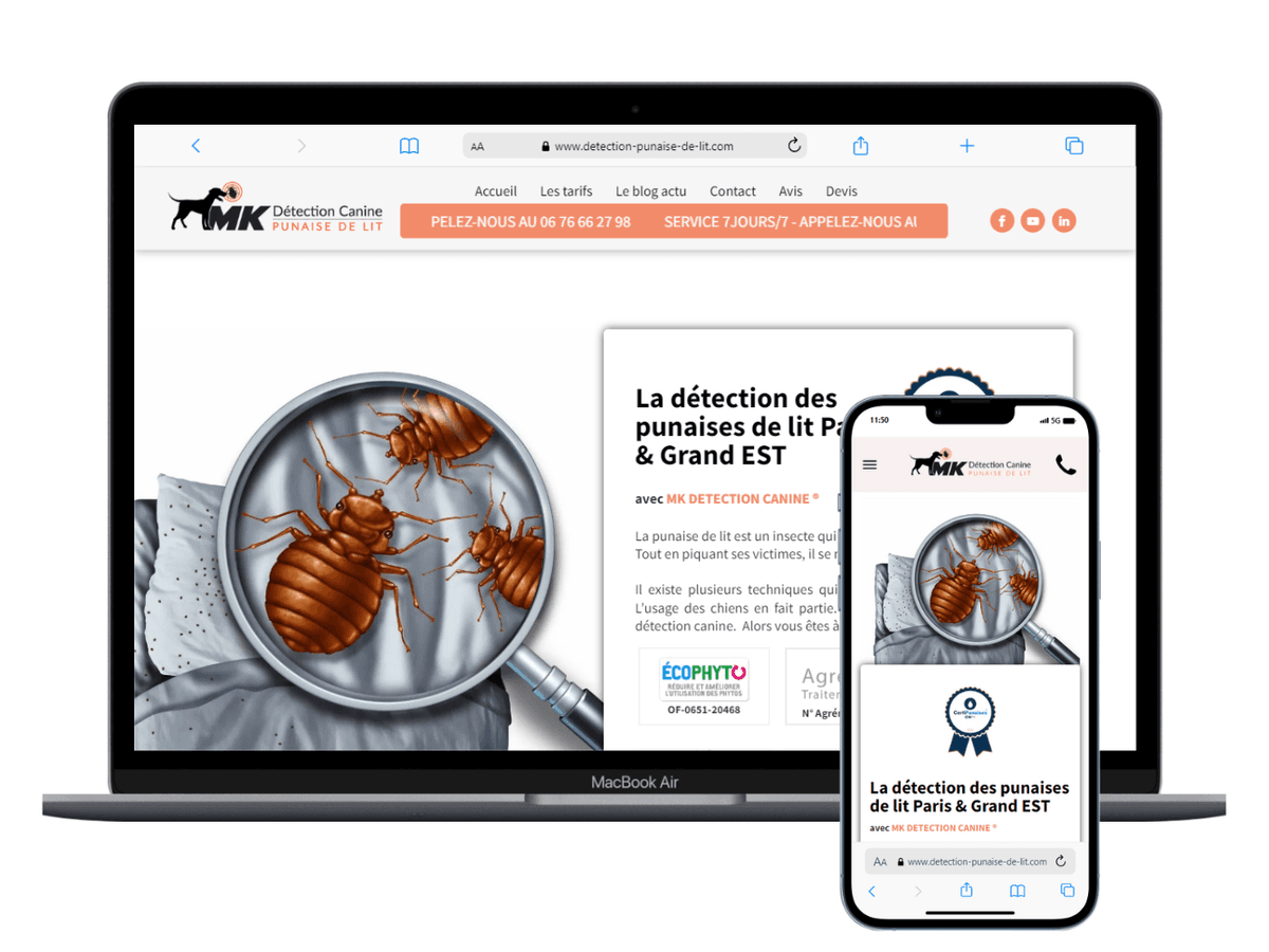 Réalisation site responsive 2